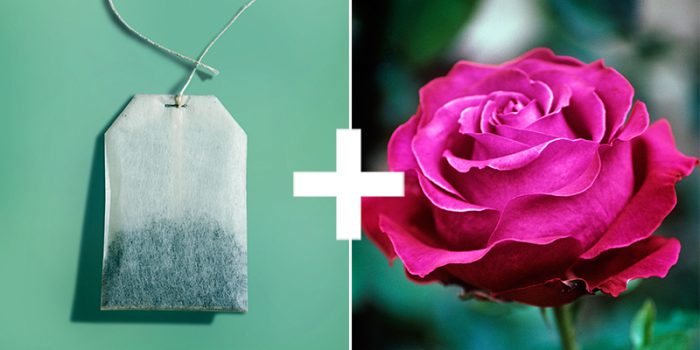 11 attapīgi veidi, kā izmantot tējas maisiņus; rozes būs pateicīgas!