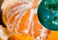 Kā ārstēt slimības ar mandarīna mizām – kaut kas neticams!