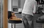 Kvalitatīvas kaķu barības priekšrocību atklāšana – zinātniski pamatots, ar barības vielām bagāts uzturs